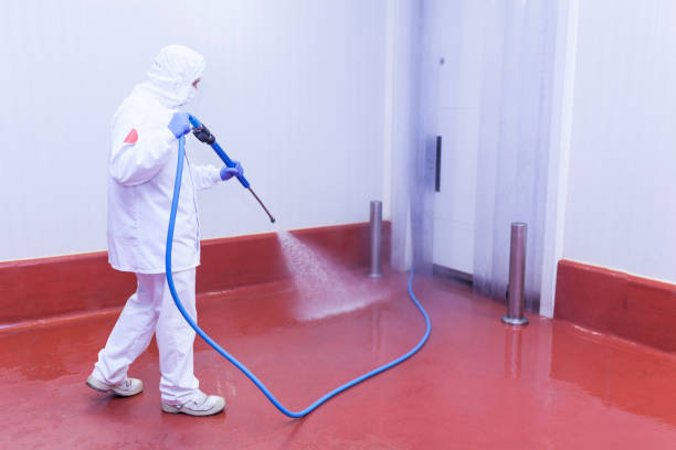 Trusted Hopwood, PA Pressure Washing Experts